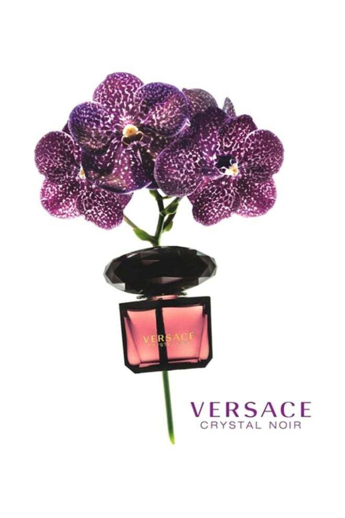 Versace-Crystal Noir Edp 50ml - Versace Crystal Noir Perfume for Unisex 50ml 6