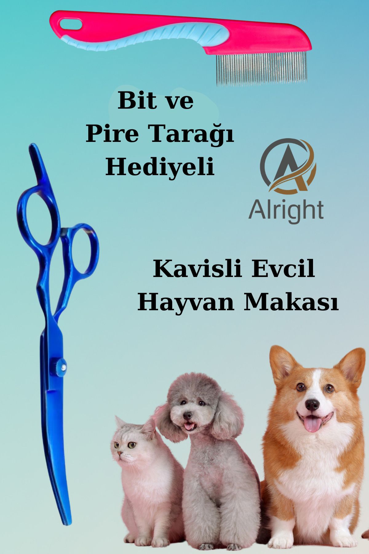 Alright Kavisli Mavi Profesyonel Evcil Hayvan Kedi ve Köpek Tasarım Makası Bit ve Pire Tarağı