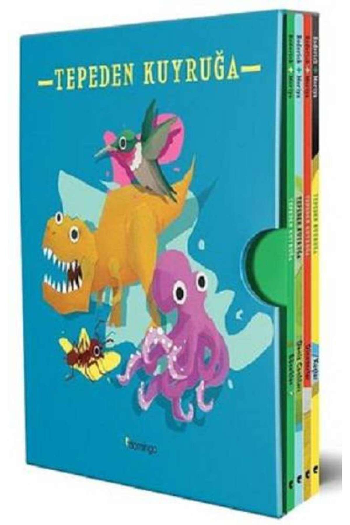 Domingo Yayınevi Tepeden Kuyruğa Kutulu Set (4 Kitap)