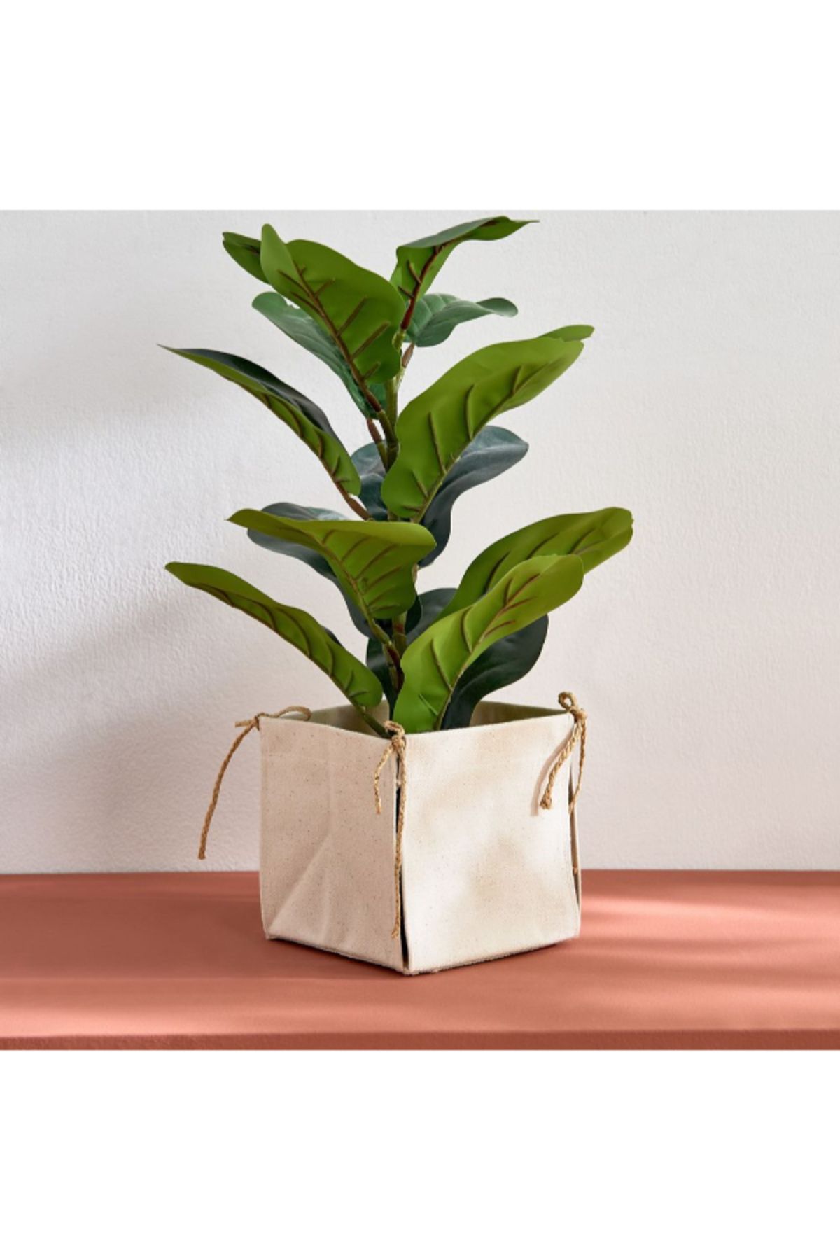 Home Box-Bella Canvas Square Box Planter with Raffia Strings - 15x15 x15 cm 4