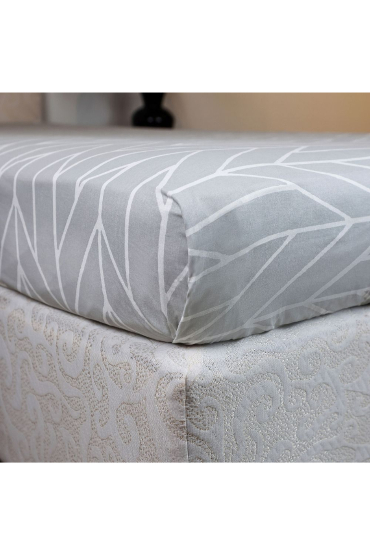 Home Box-Malta Centrum Printed Cotton Twin Flat Sheet - 170x260 cm 3