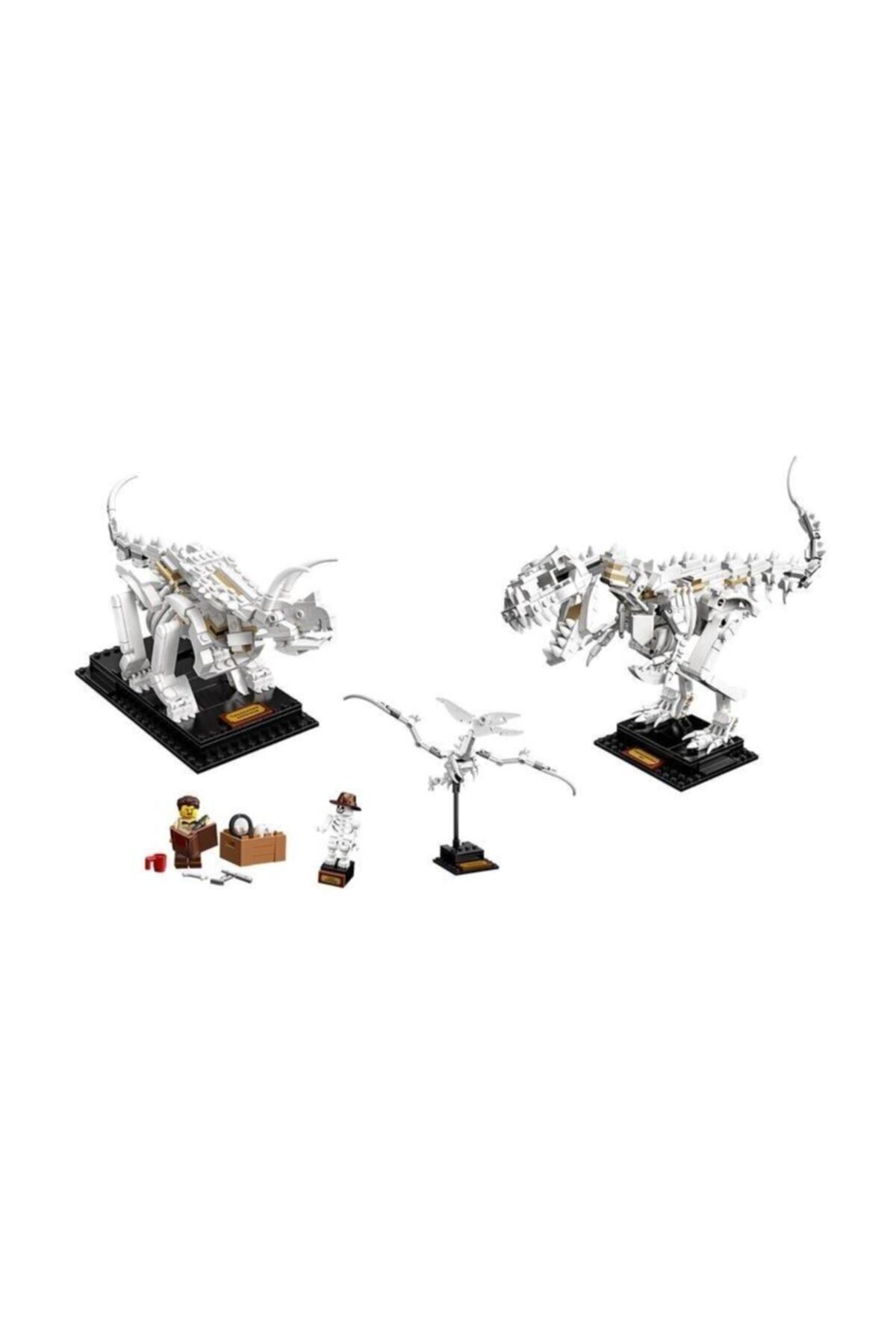 LEGO-Ideas 21320 Dinosaur Fossils 3