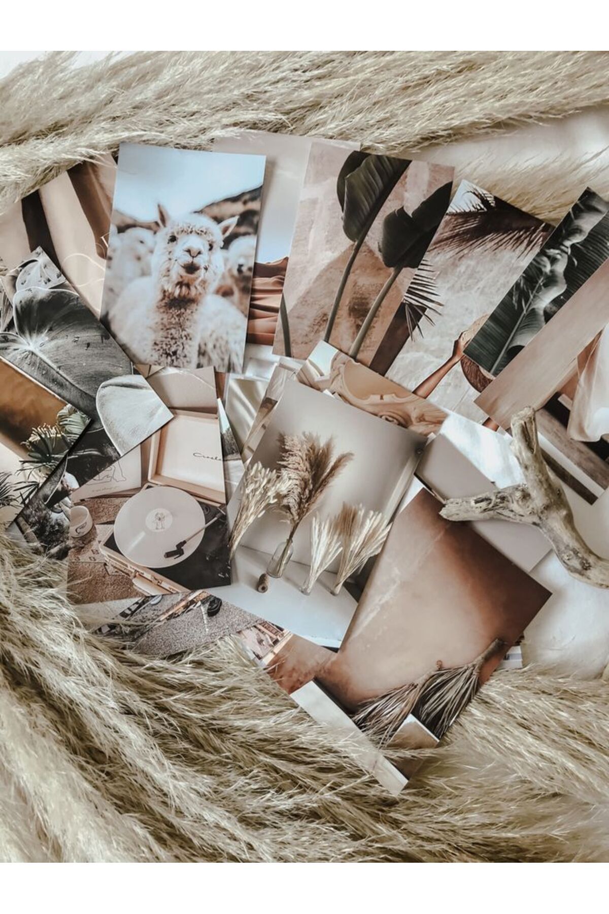 Fotoğraf Baskısı (10X15) 100 Adet 3