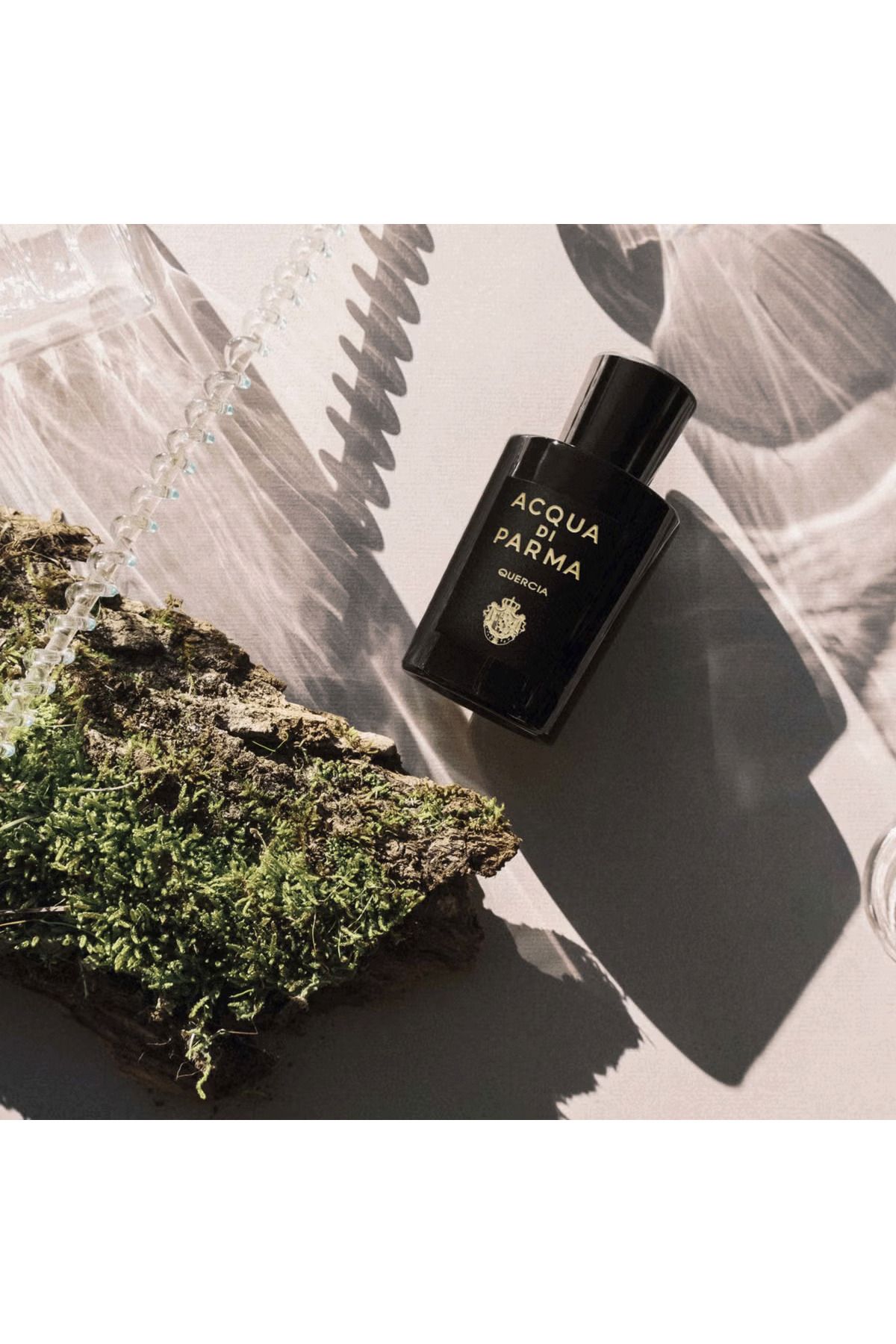 Acqua Di Parma-Quercia Perfume by Acqua Di Parma EDP 100 ml 3