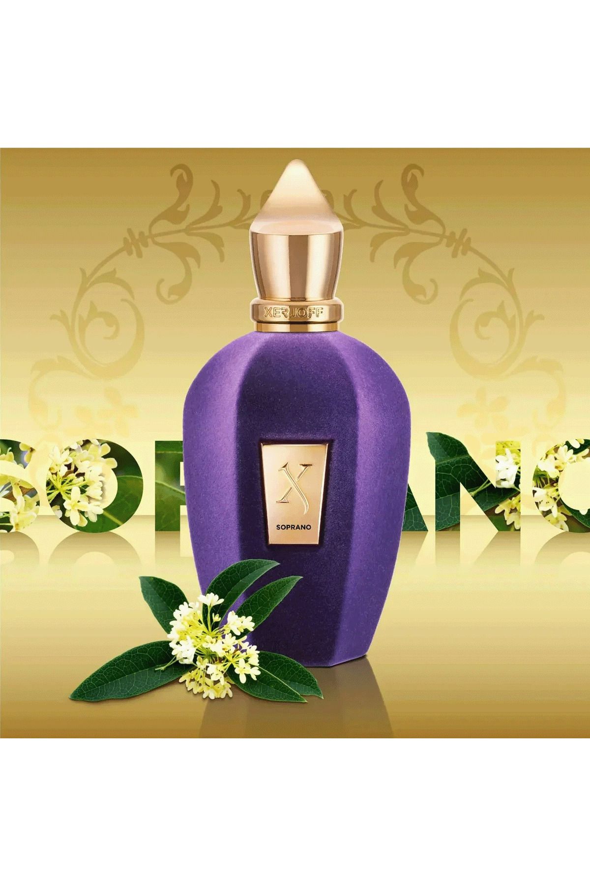 Xerjoff-عطر سوبرانو من زيرجوف أو دو بارفان 100 مل 4