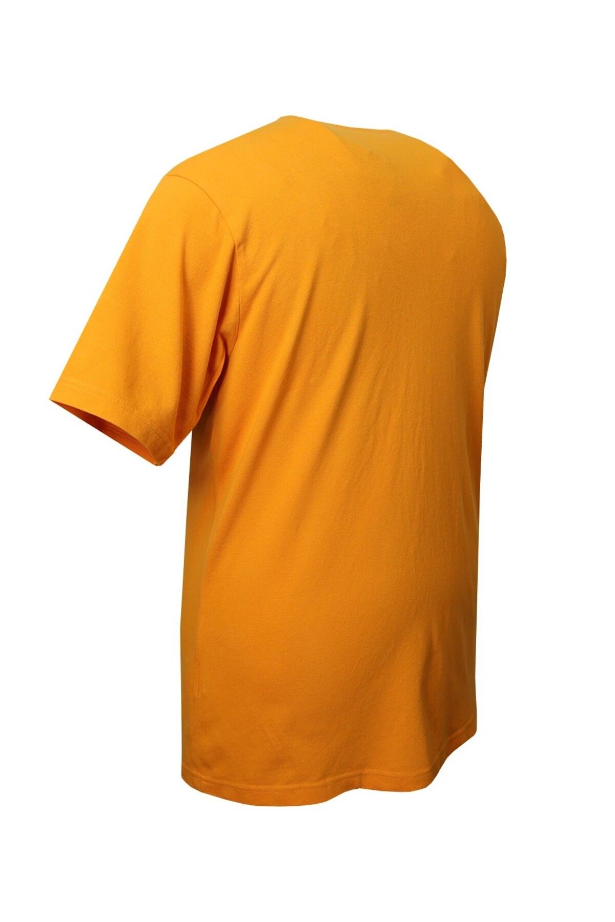 tambattal-Dekons Large Size Lacost Pike Bis Collar T-Shirt Suitable for 115kg to 175kg 5