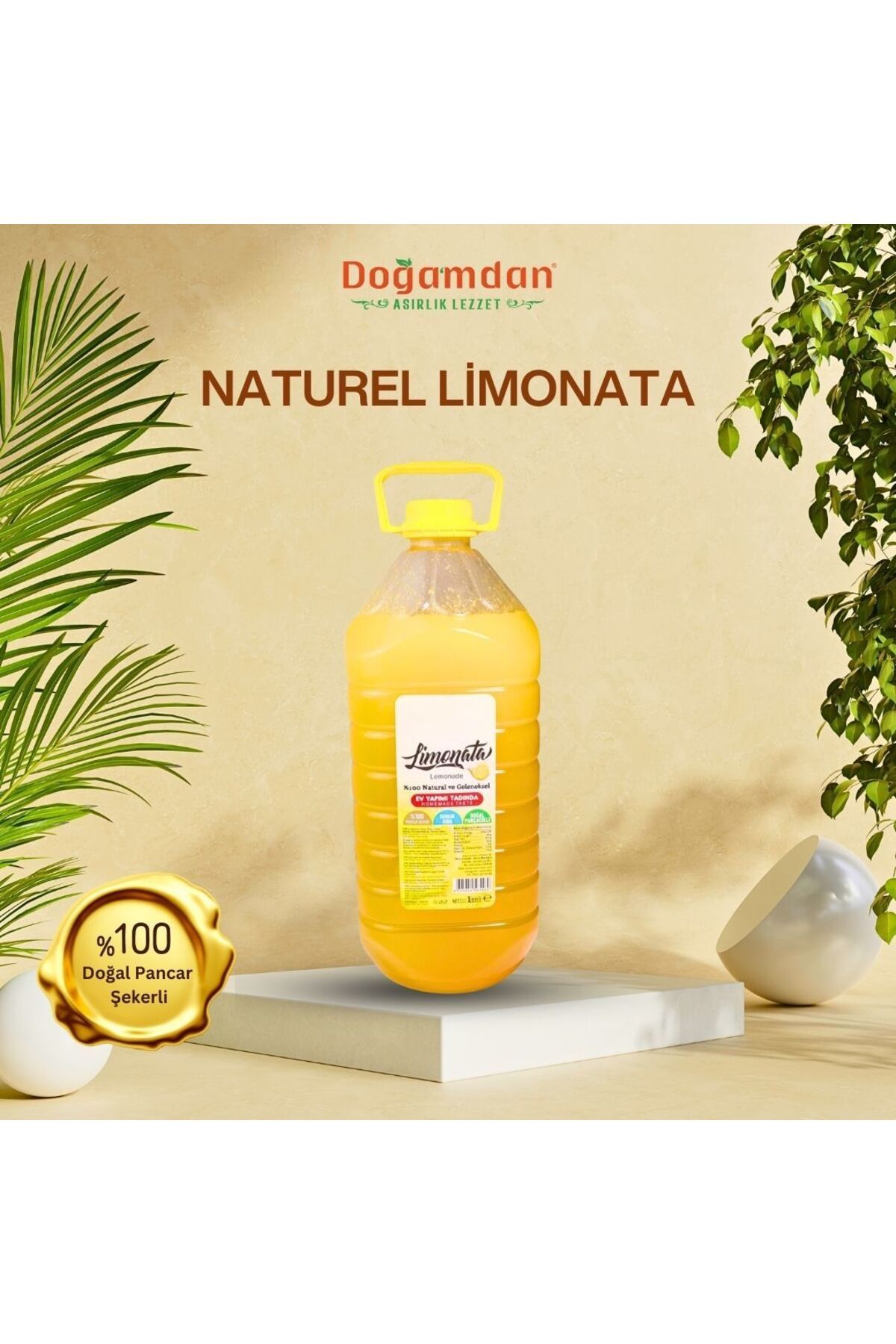 DOĞAMDAN Limonata Özü 3,3 lt