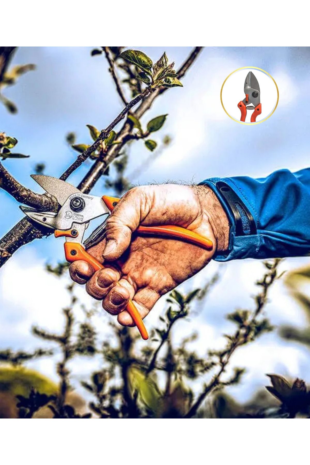 löwe-Pruning Shears 6104 Standard Handle Fast Cutting Professional Scissors - Made in Germany 3