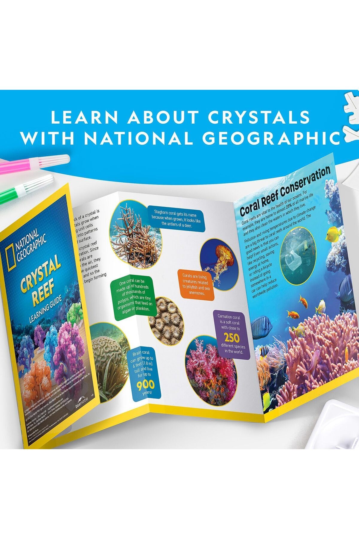 آزمایشگاه پرورش مرجان کریستال ریف