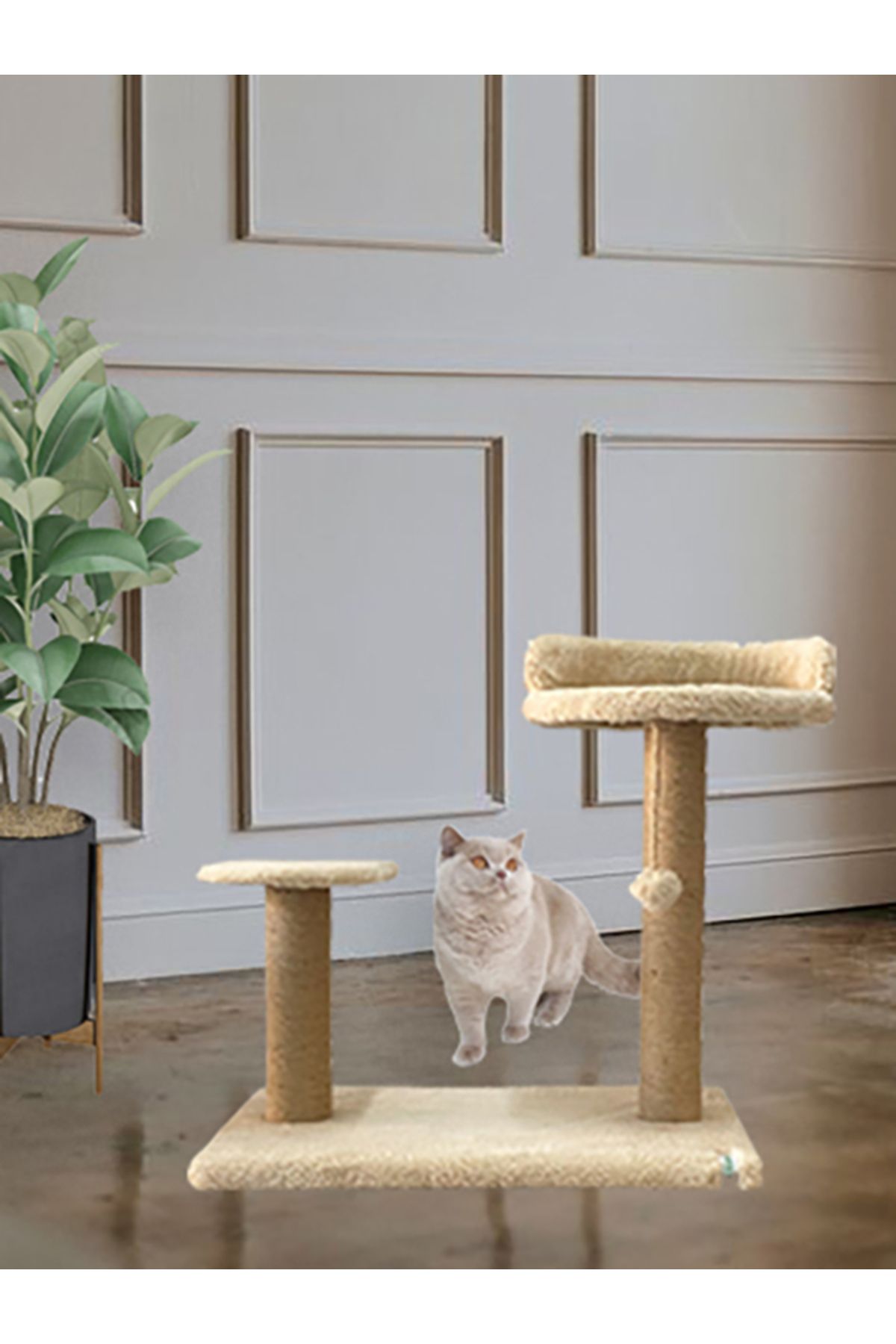 Nursoft-Paw Tree Cat - Scratching and Resting Area 1