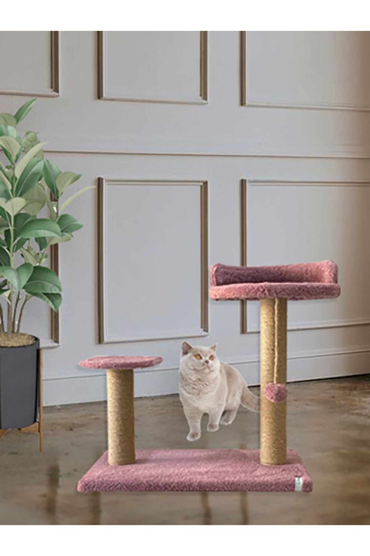 Nursoft-Paw Tree Cat - Scratching and Resting Area 1