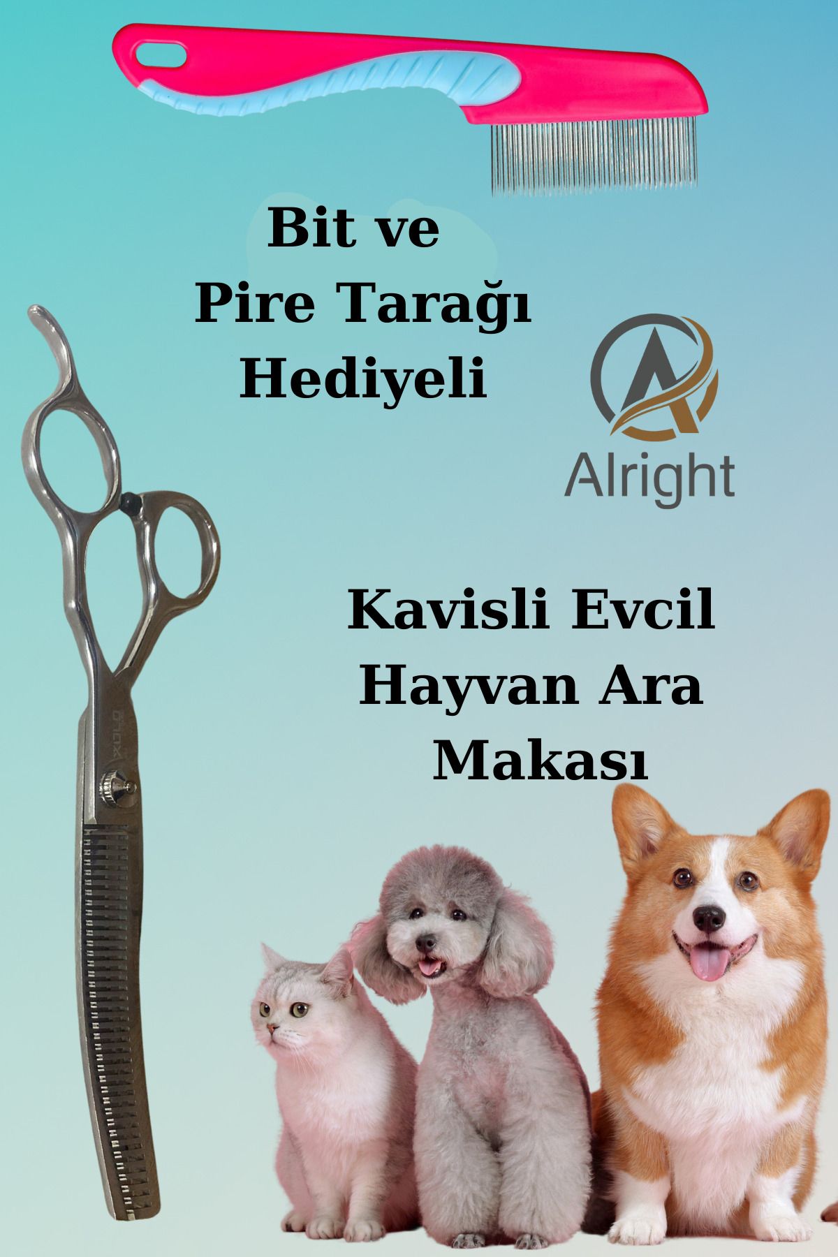 Alright Kavisli Gümüş Ara Profesyonel Evcil Hayvan Kedi ve Köpek Tasarım Ara Makası Pire Tarağı Hediyeli