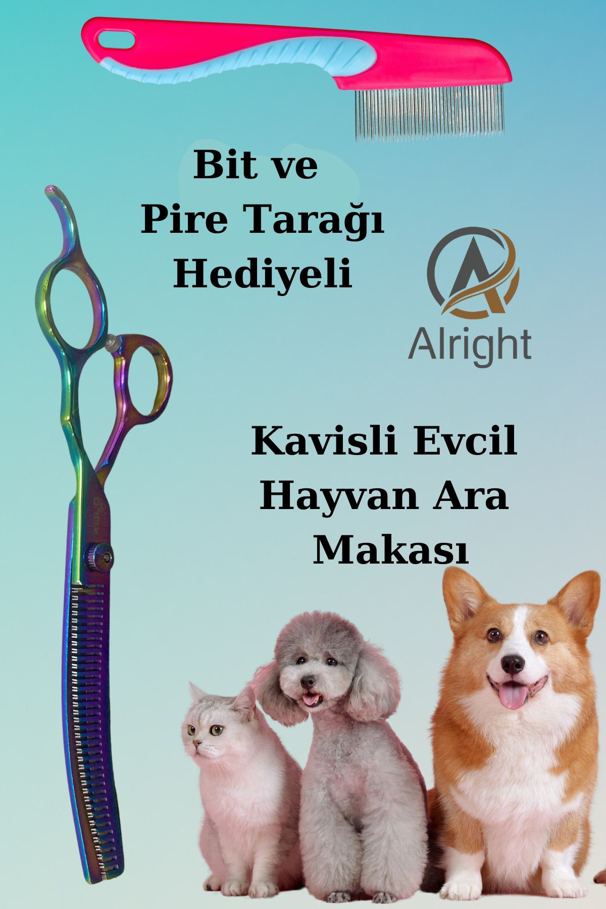 Alright Kavisli Rainbow Ara Profesyonel Evcil Hayvan Kedi ve Köpek Tasarım Ara Makası Pire Tarağı