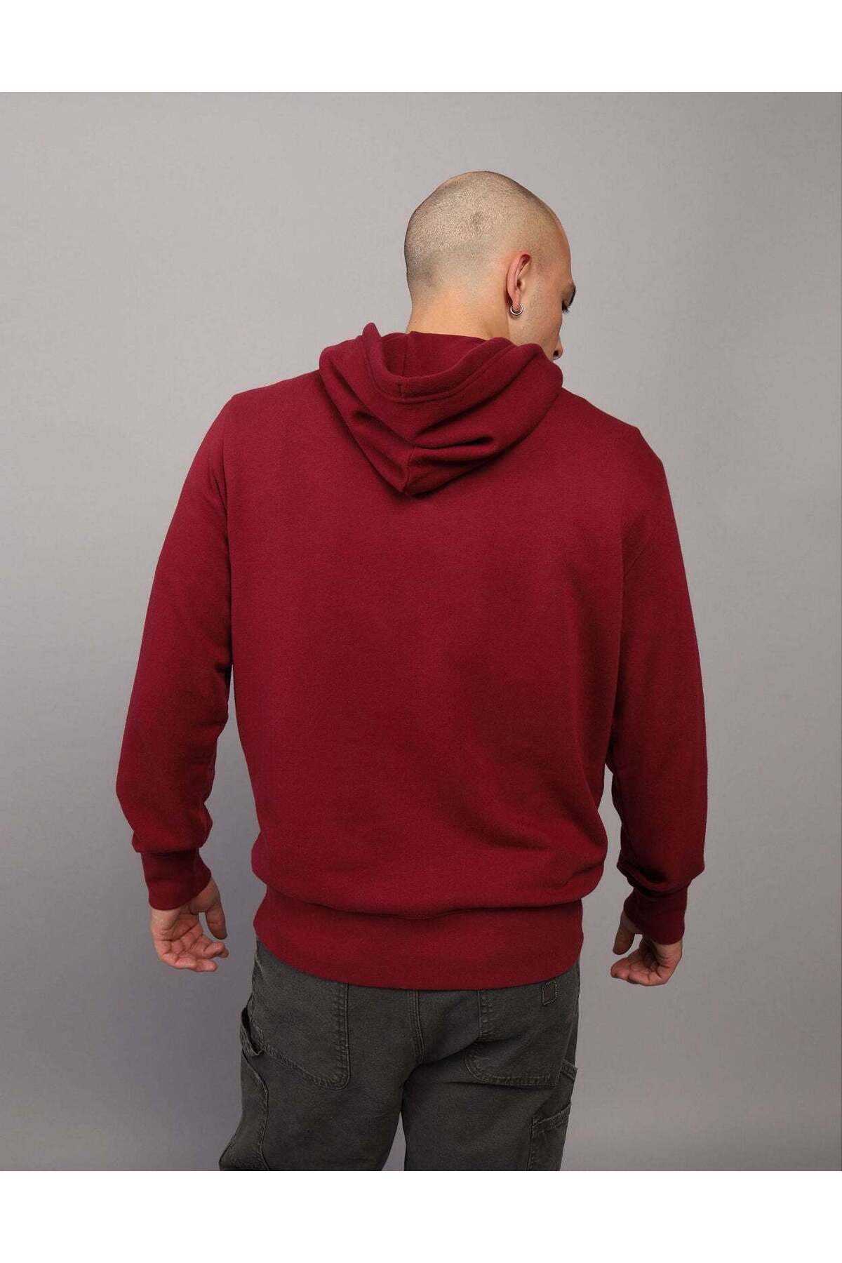 AMERICAN EAGLE-AE Logo Graphic Hoodie 2