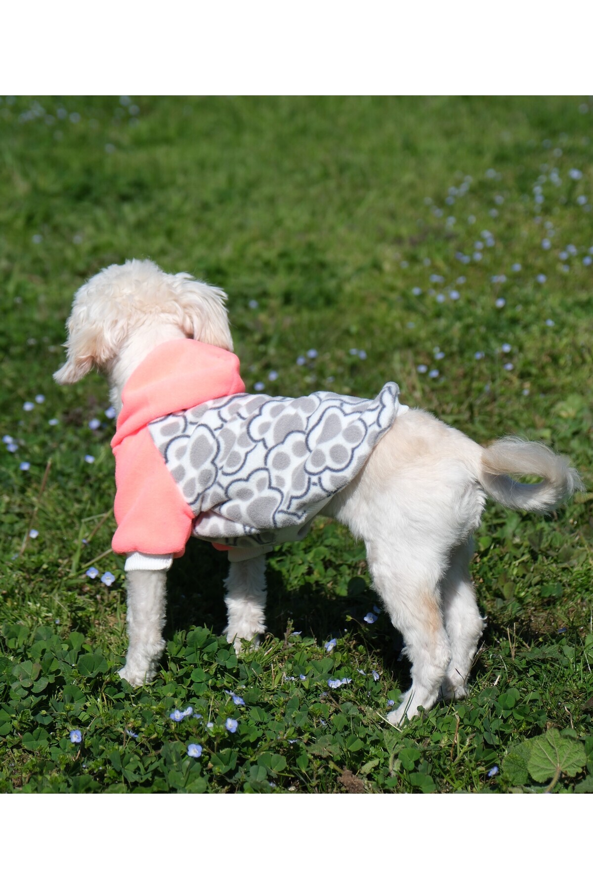 Peti Tailor-Neon Paw Door Fleece Outfit for Children 5