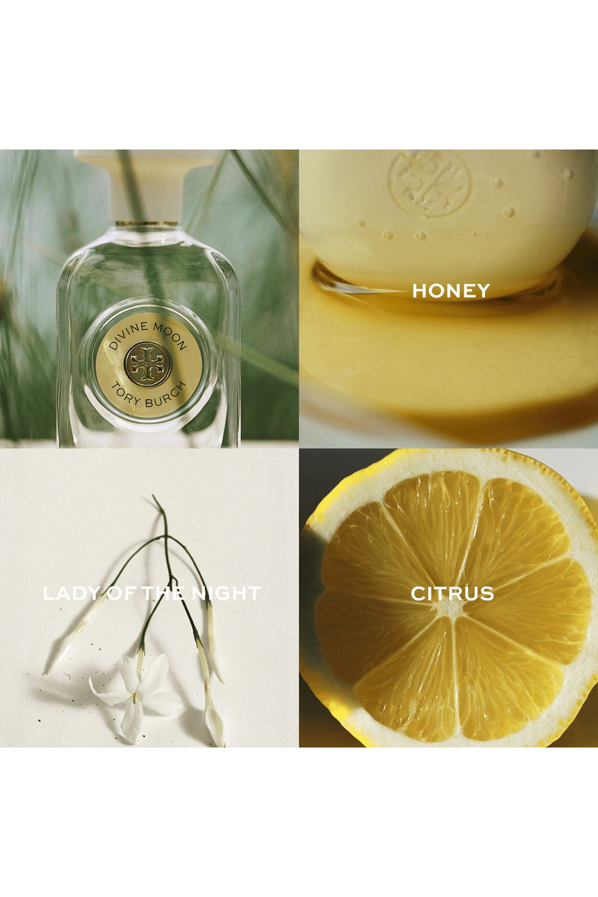 Tory Burch-Divine Moon Perfume by Tory Burch EDP 50 ml 3