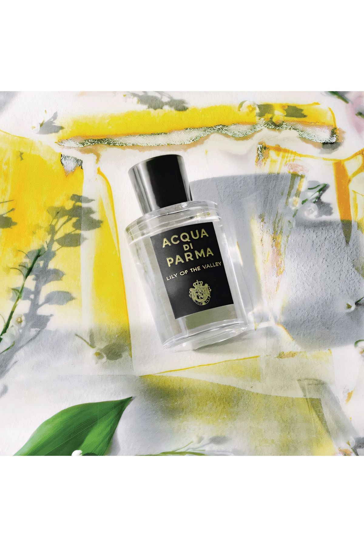 Acqua Di Parma-Lily Of The Valley Perfume by Acqua Di Parma EDP 100 ml 4