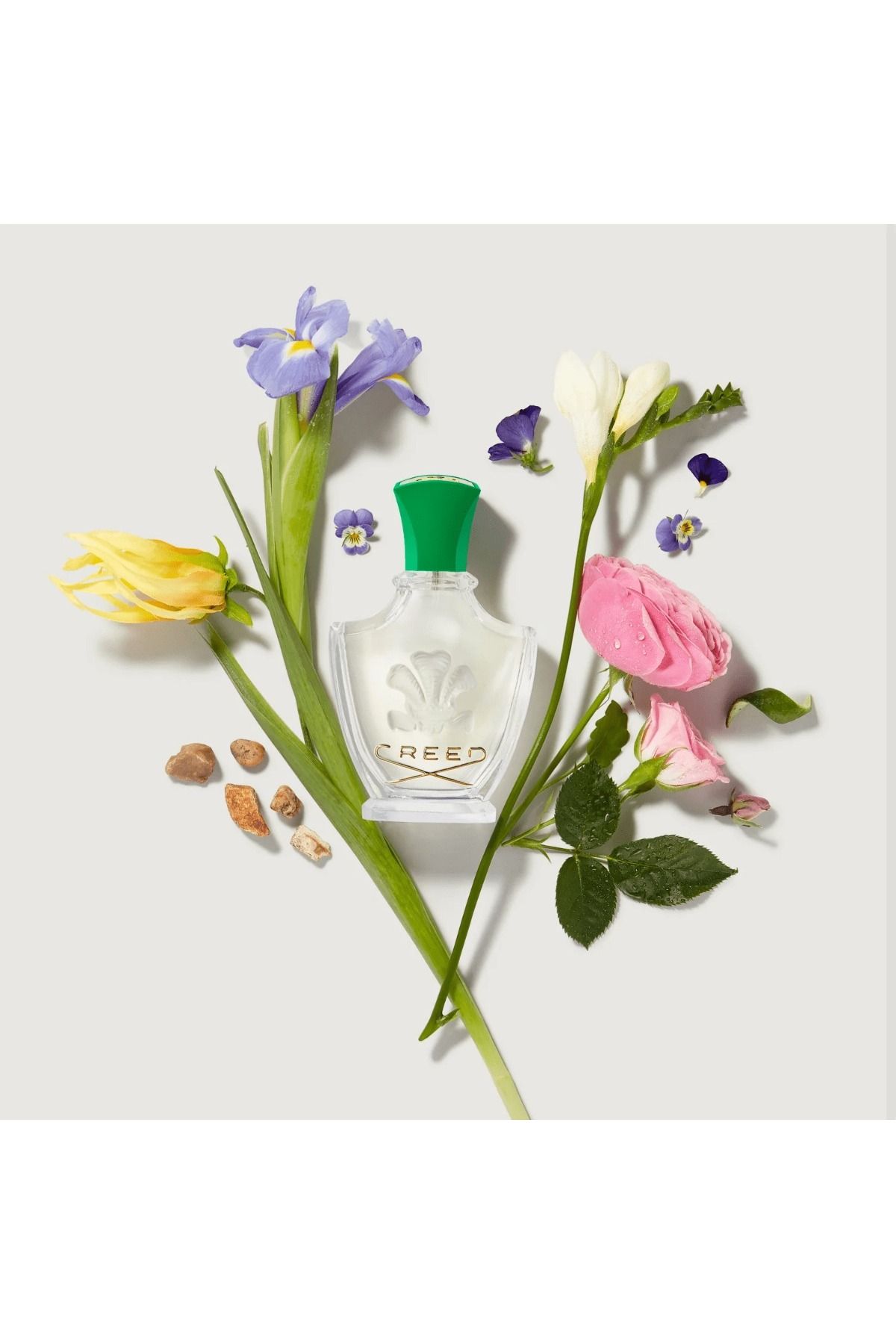 Creed-عطر فلوريسيمو من كريد EDP 75 مل 6