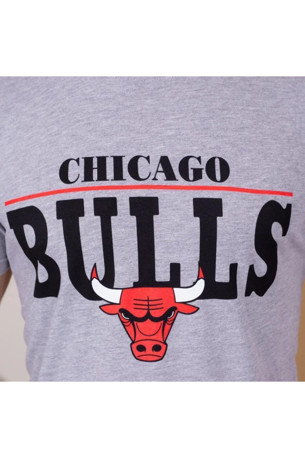 Albayrak Erkek Kısa Kollu Chicago Bulls Baskılı Tişört