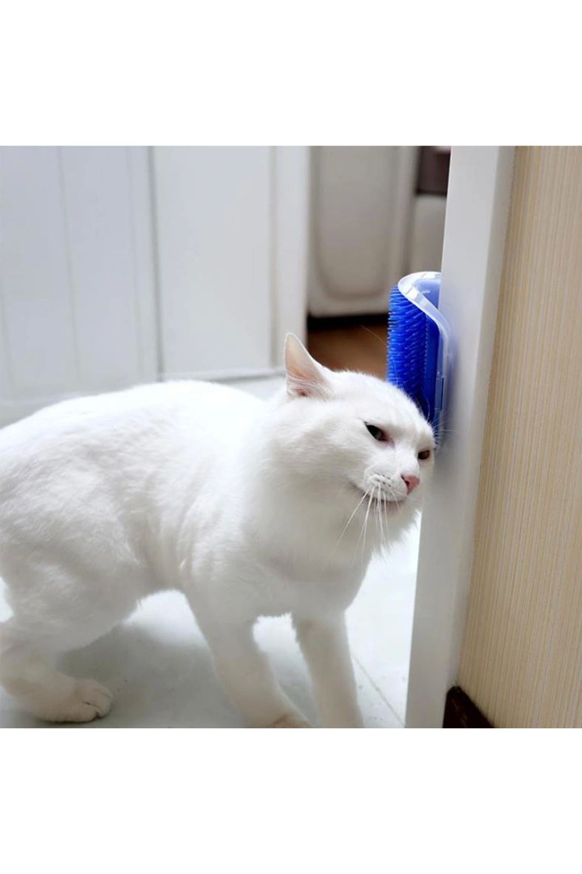 shopwave Pratik Kedi Tüyü Kaşıma Ve Tarama Aparatı Duvara Monte Kaşıma Aleti (5047)