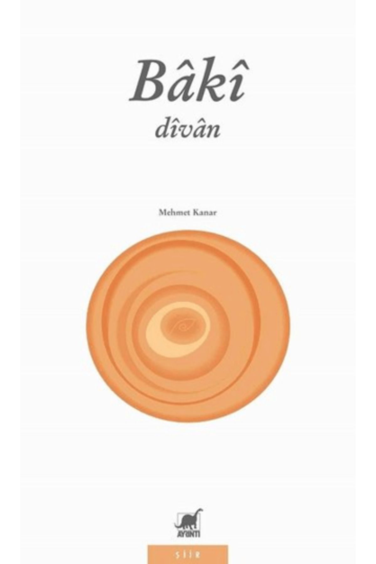 Ayrıntı Yayınları Divan