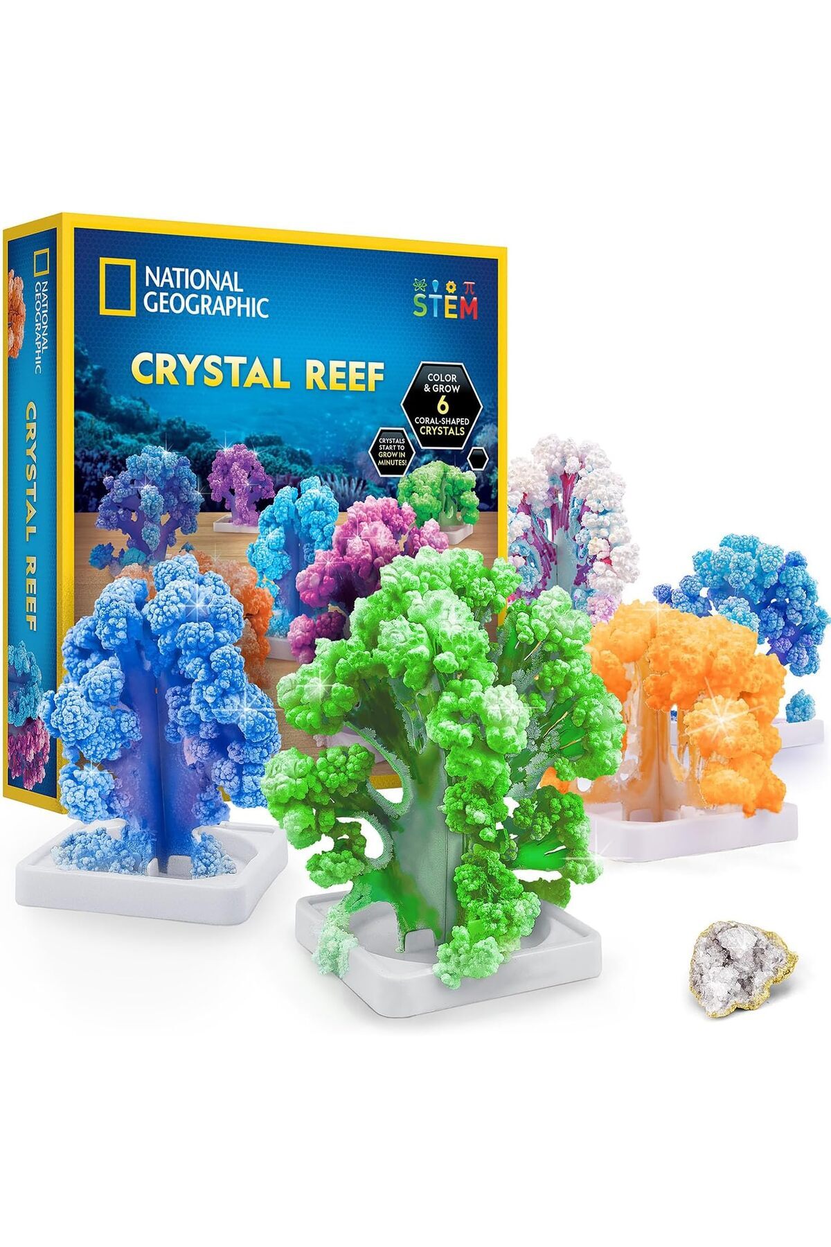 آزمایشگاه پرورش مرجان کریستال ریف