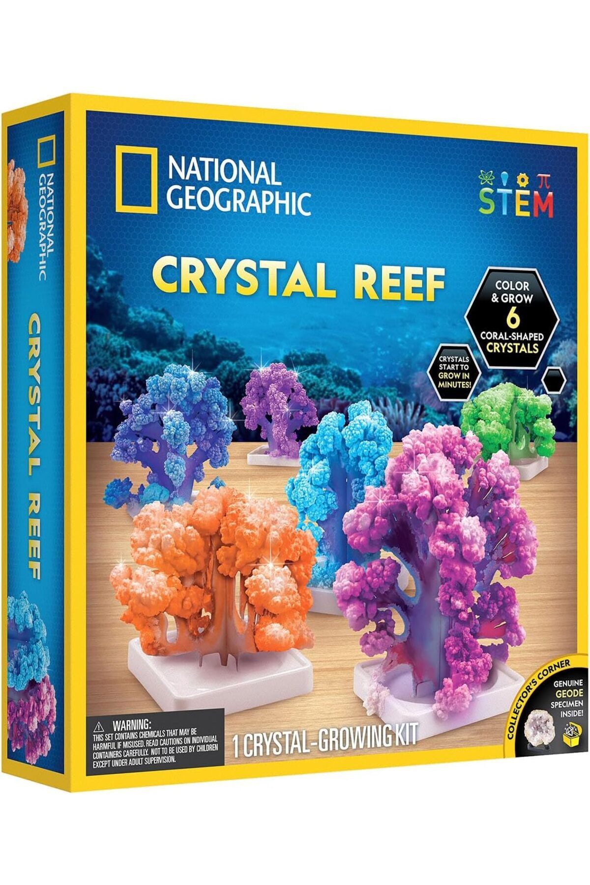 آزمایشگاه پرورش مرجان کریستال ریف