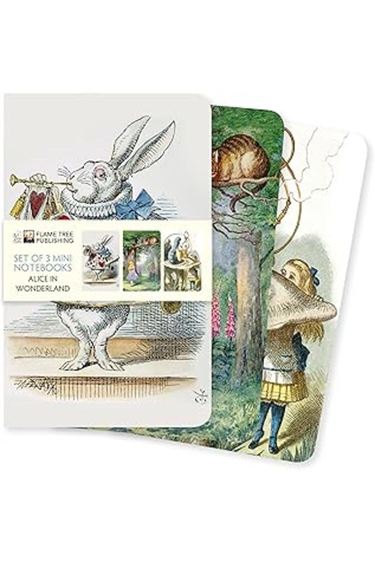 Mu Art Alice In Wonderland Set Of 3 Mini Notebooks