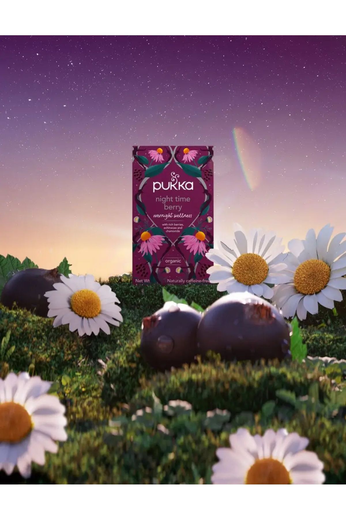 Pukka-Night Time Berry Organic Fruit Tea 2