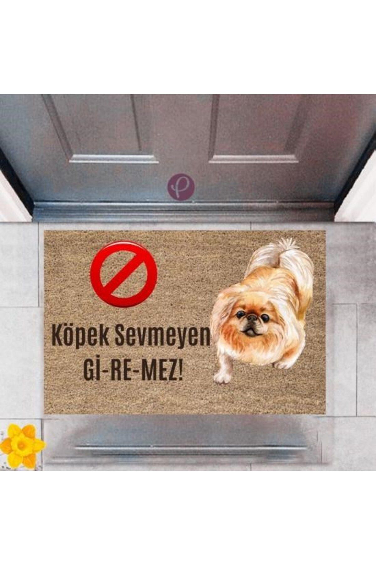 Tahtakale Toptancısı Kapı Önü Paspası Dekoratif Dijital Baskı Köpek Sevmeyen Giremez P-2376