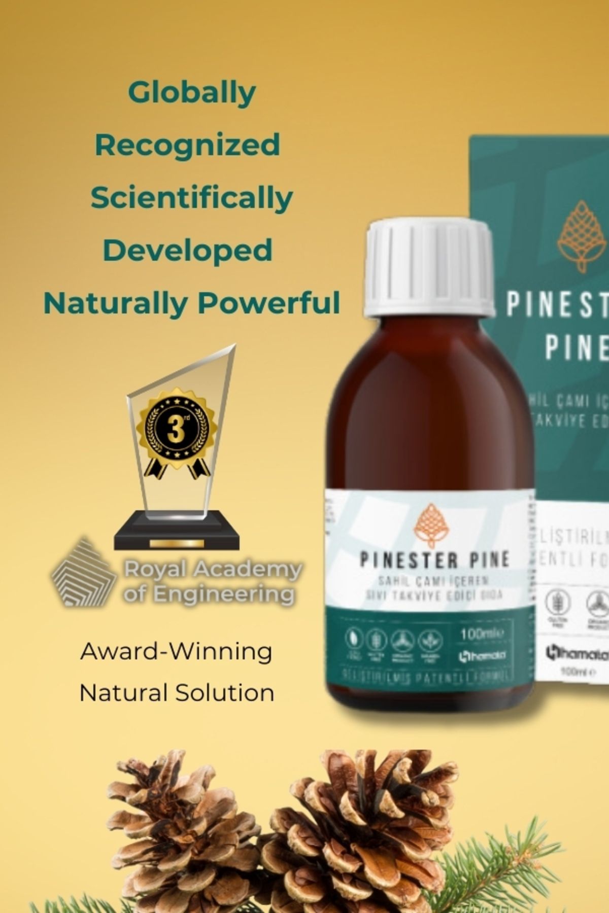 Hamata-Pinester Pine Syrup Supplement – for Respiratory Support & Immune Boost – 100ml 2