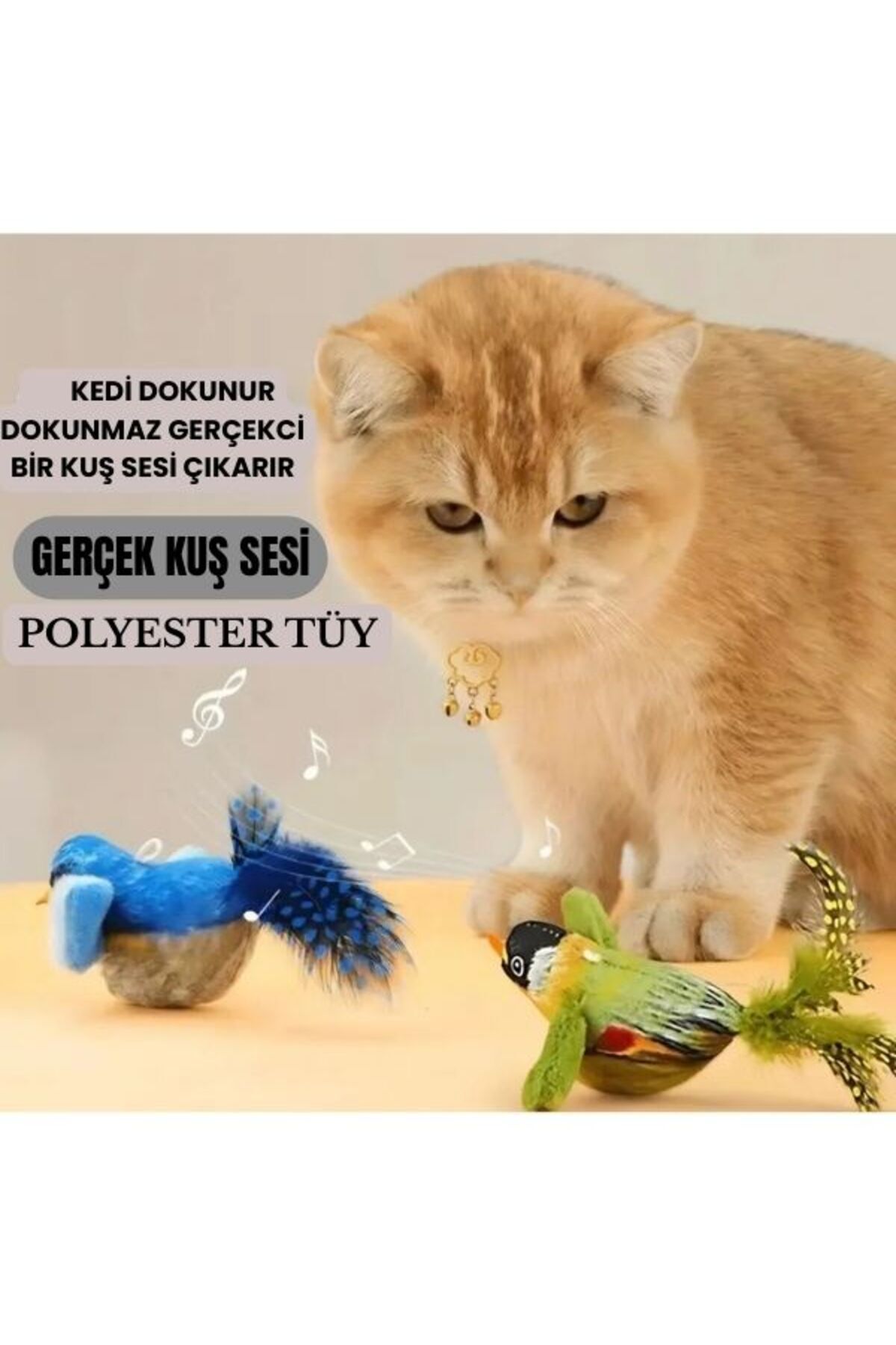 Hünkar-Interactive Plush Bird with Realistic Bird Sound, Cat Toy Furry String Cat Toys with Cat Mint 4