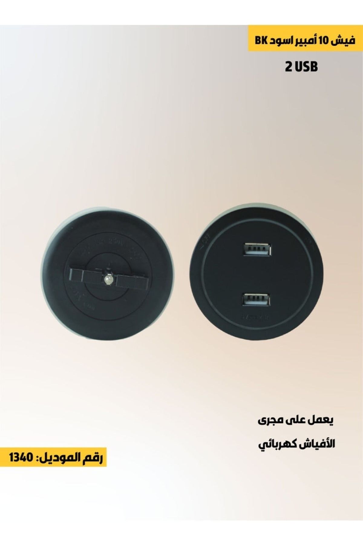 ACCEPT-10 Amp 2X USB Plug Works on Electrical Sockets 1