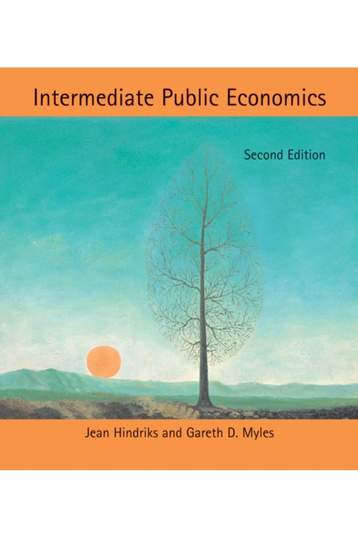 Pandora Kitabevi Intermediate Public Economics 2E