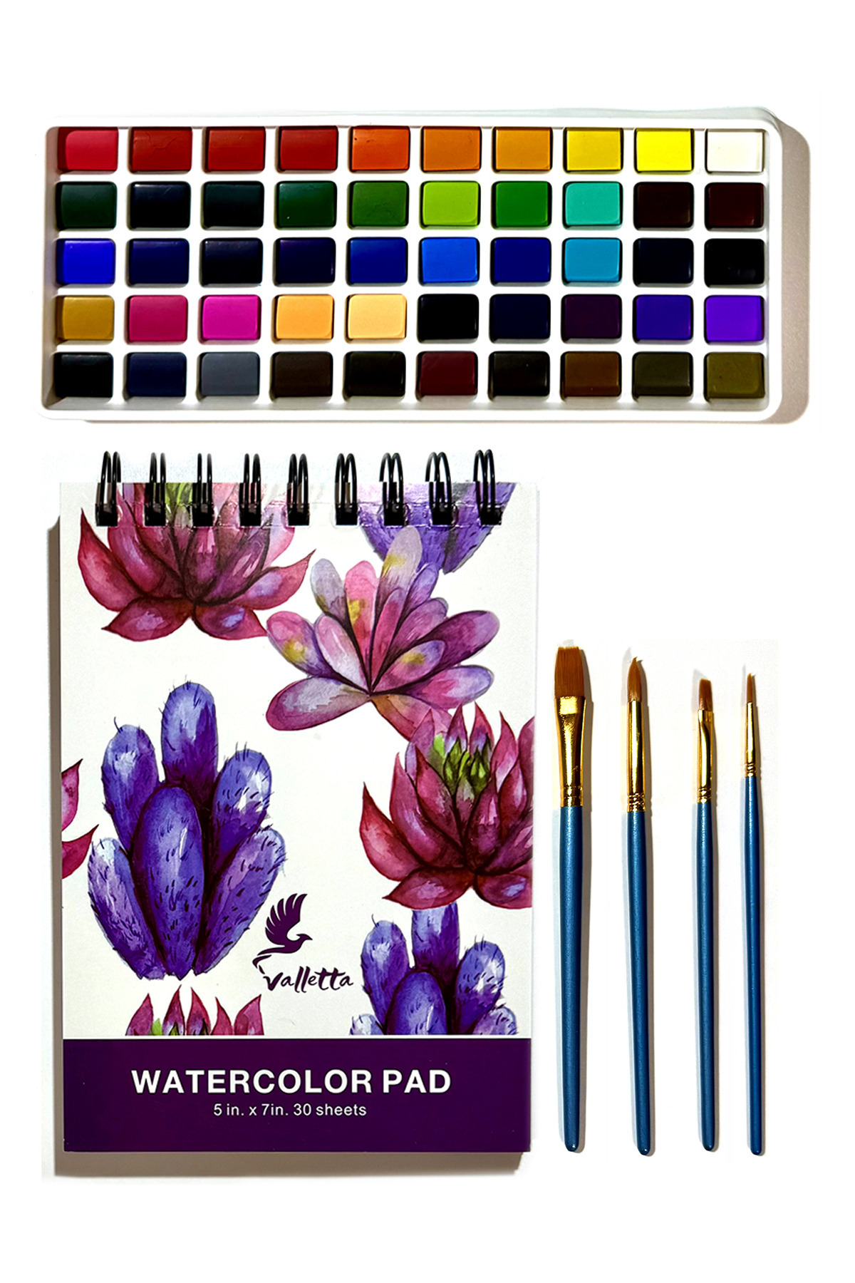 valletta Padova 55'li Profesyonel Sulu Boya Seti