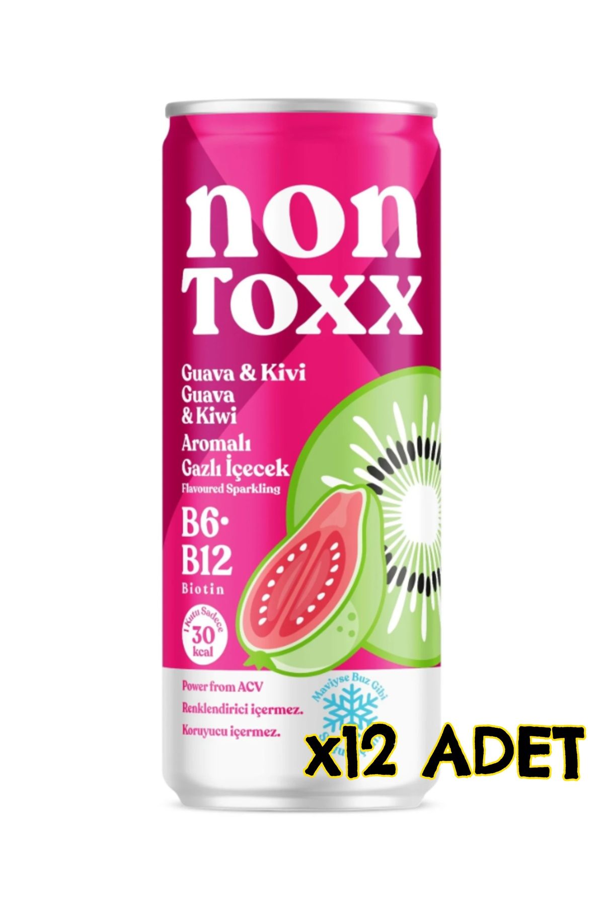 NON TOXX Guava & Kivi Aromalı Sirkeli Gazlı İçecek 250 ml x 12 Adet (Koli)