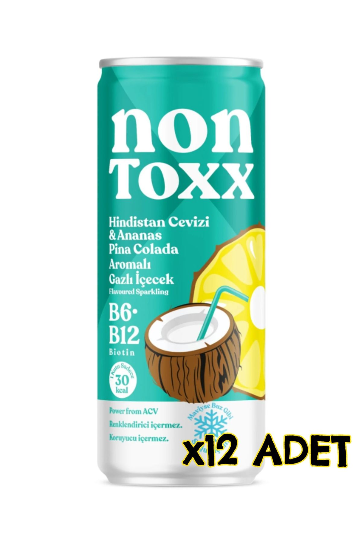 NON TOXX Hindistan Cevizi & Ananas Aromalı Sirkeli Gazlı İçecek 250 ml x 12 Adet (Koli)