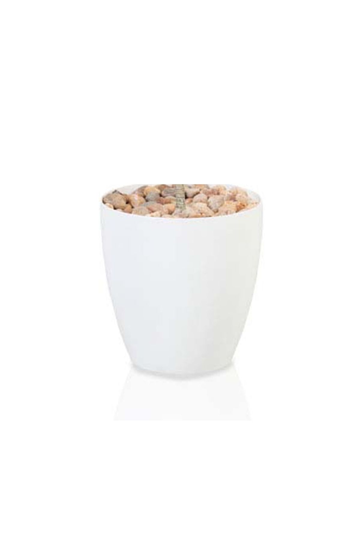 Generic-Artificial Yucca Cactus Tree (2 Branches) with Cylinder Plastic Pot 3