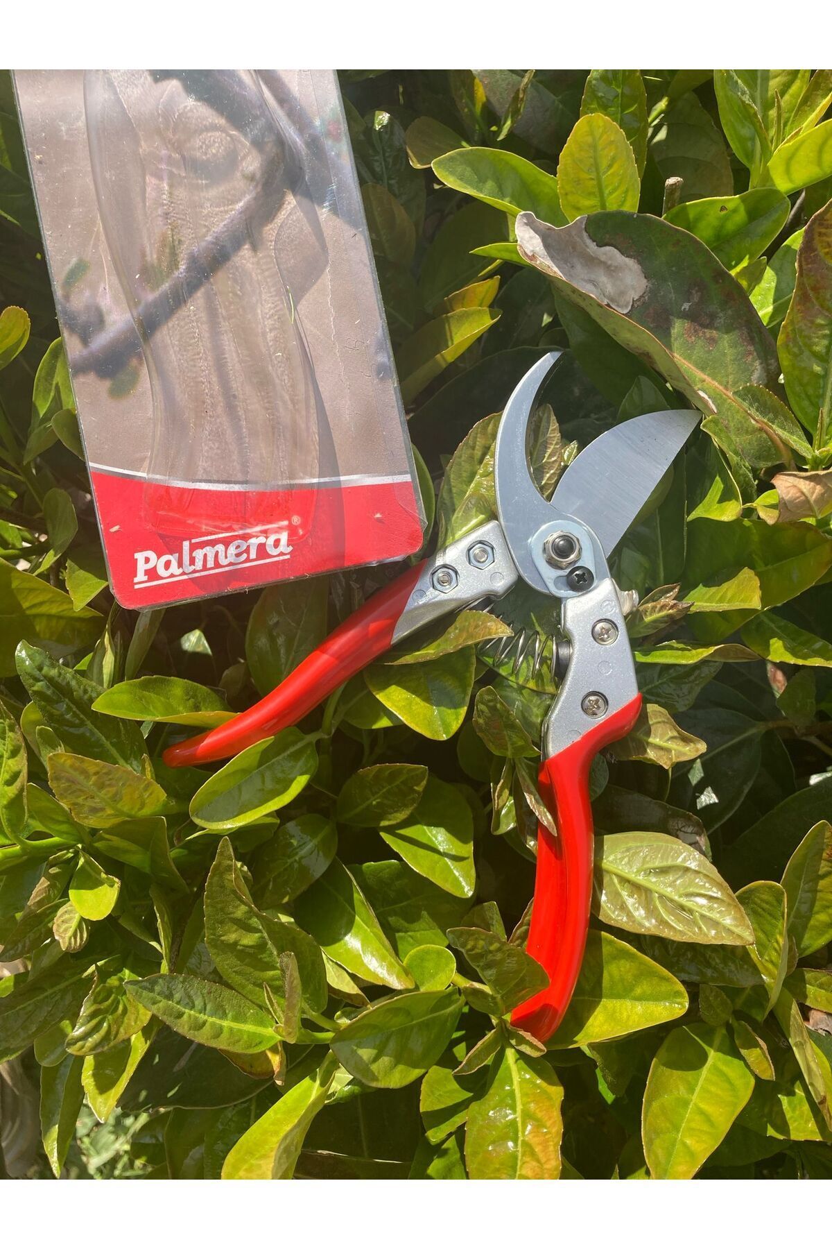 Palmera-Pa-Ps20 Pruning Scissors 3