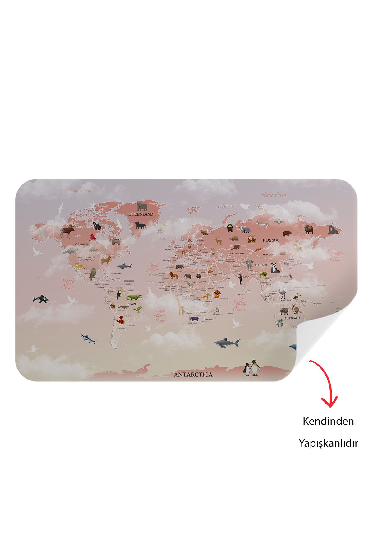 Harita Sepeti-Educational World Map World Atlas Children's and Baby's Room Wall Sticker-3799 4