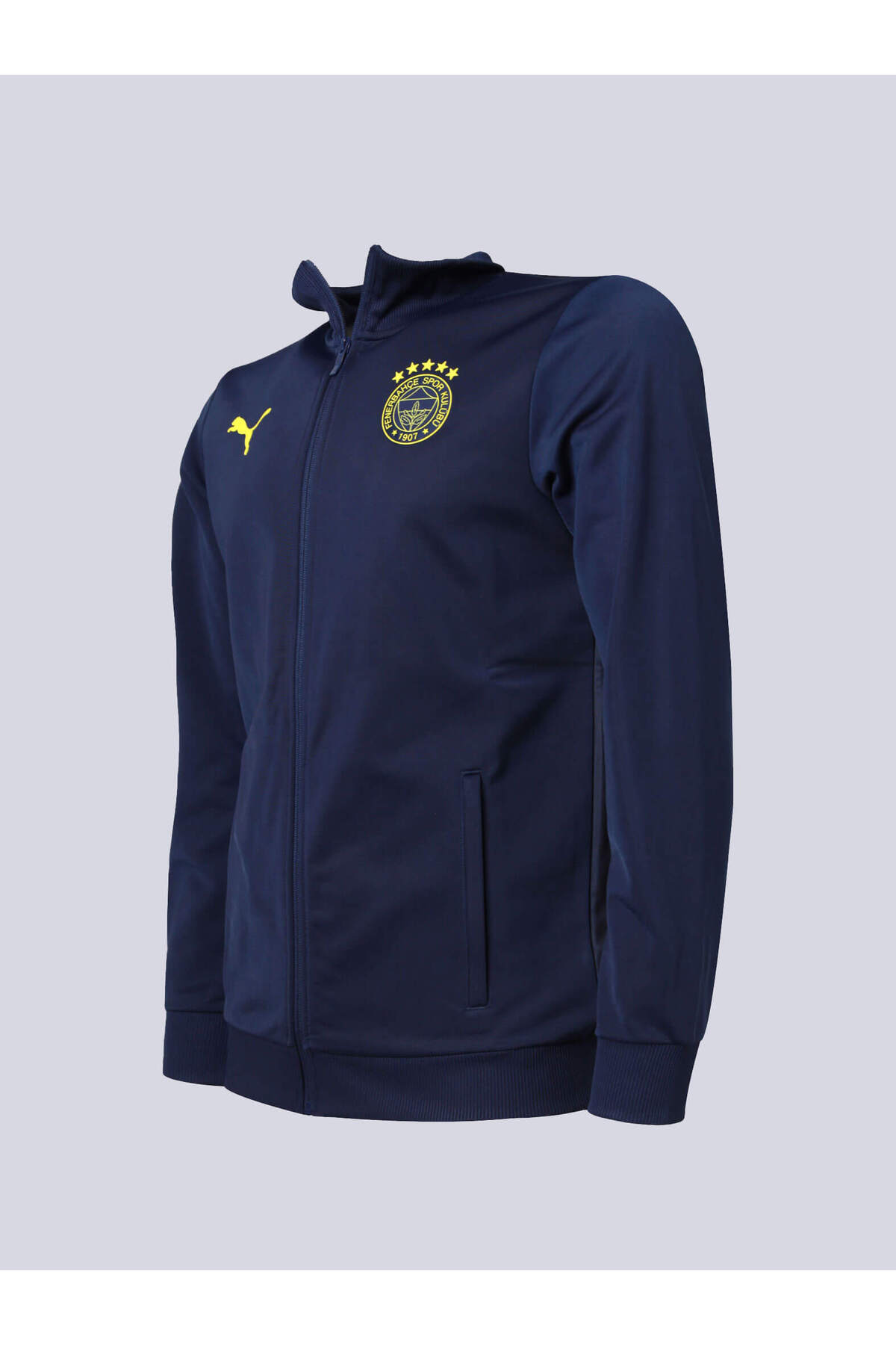 Fenerbahçe 2024/25 A TAKIM ÖZEL SWEAT görsel 2