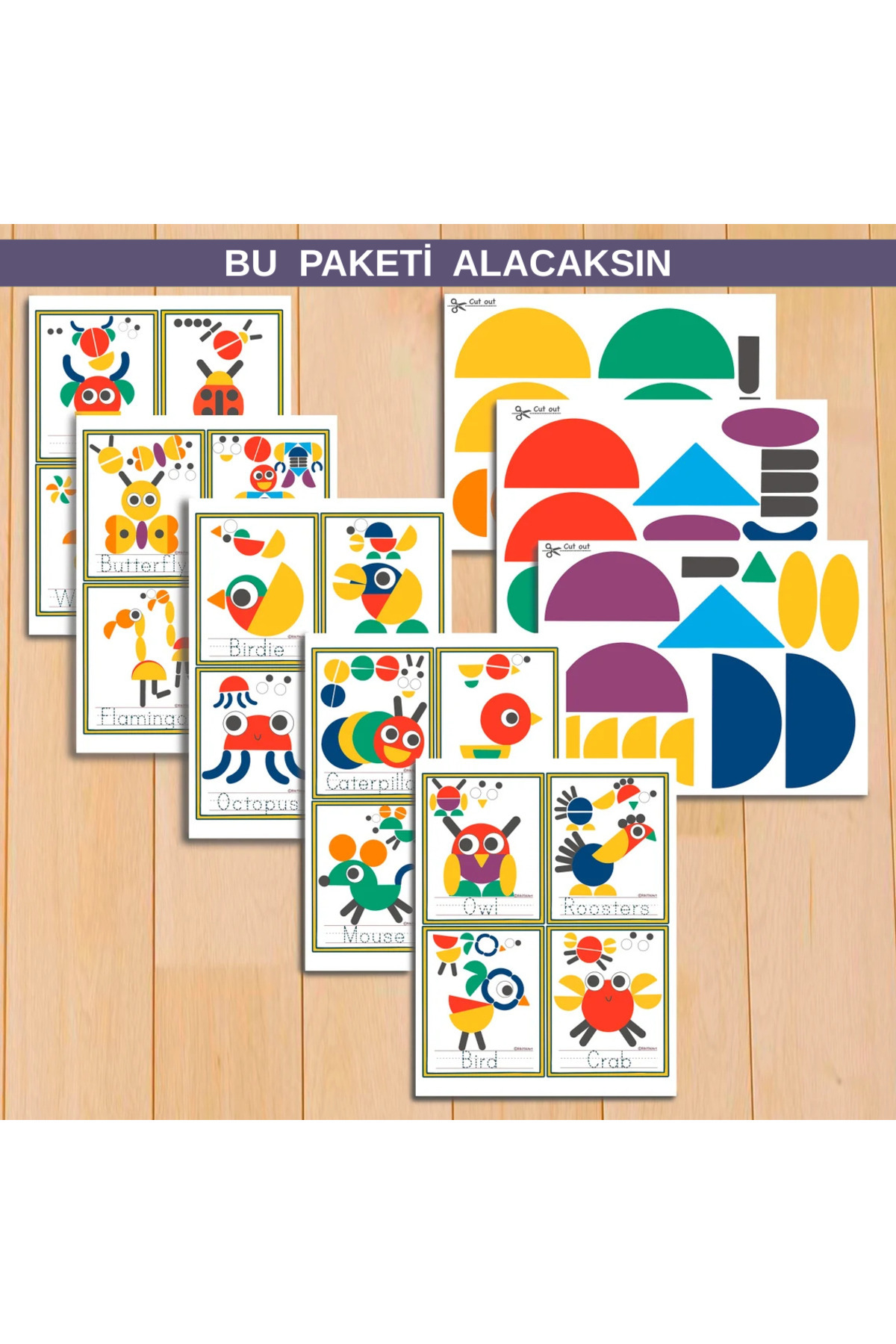 Organik Yolda Montessori Bulmacası, Okul Öncesi Yürümeye Başlayan Çocuk Aktiviteleri, Desen ve Görsel Kartlar. fotoğrafı 2 (önizleme)