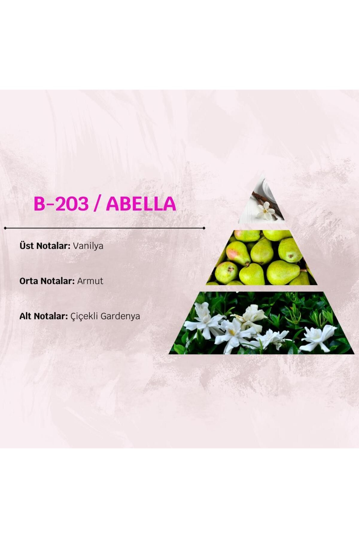 David Walker Abella B203 100ml عطر زنانه گل و شرقی