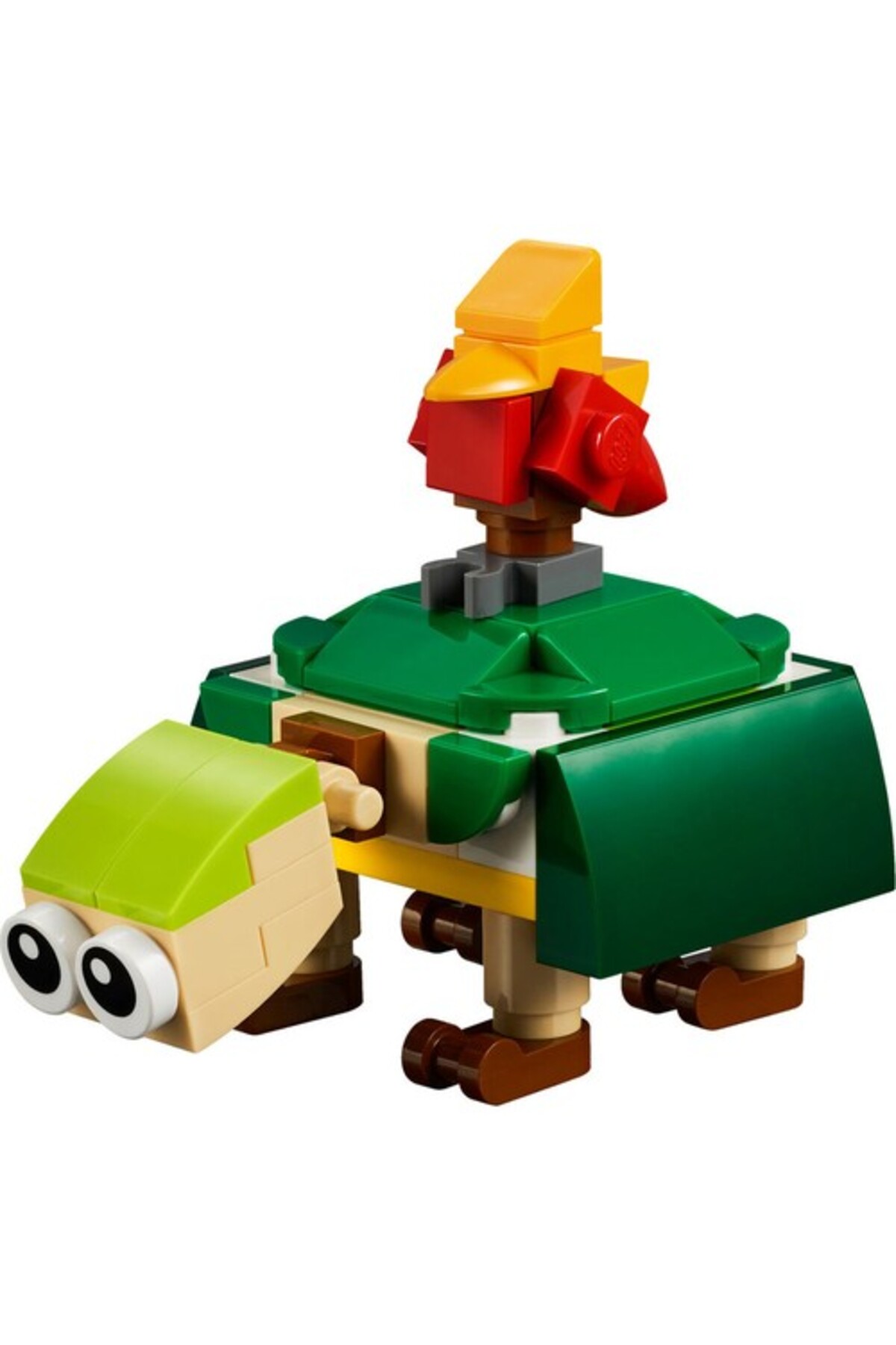 روز مهربانی مدل تبلیغاتی ۴۰۴۰۵