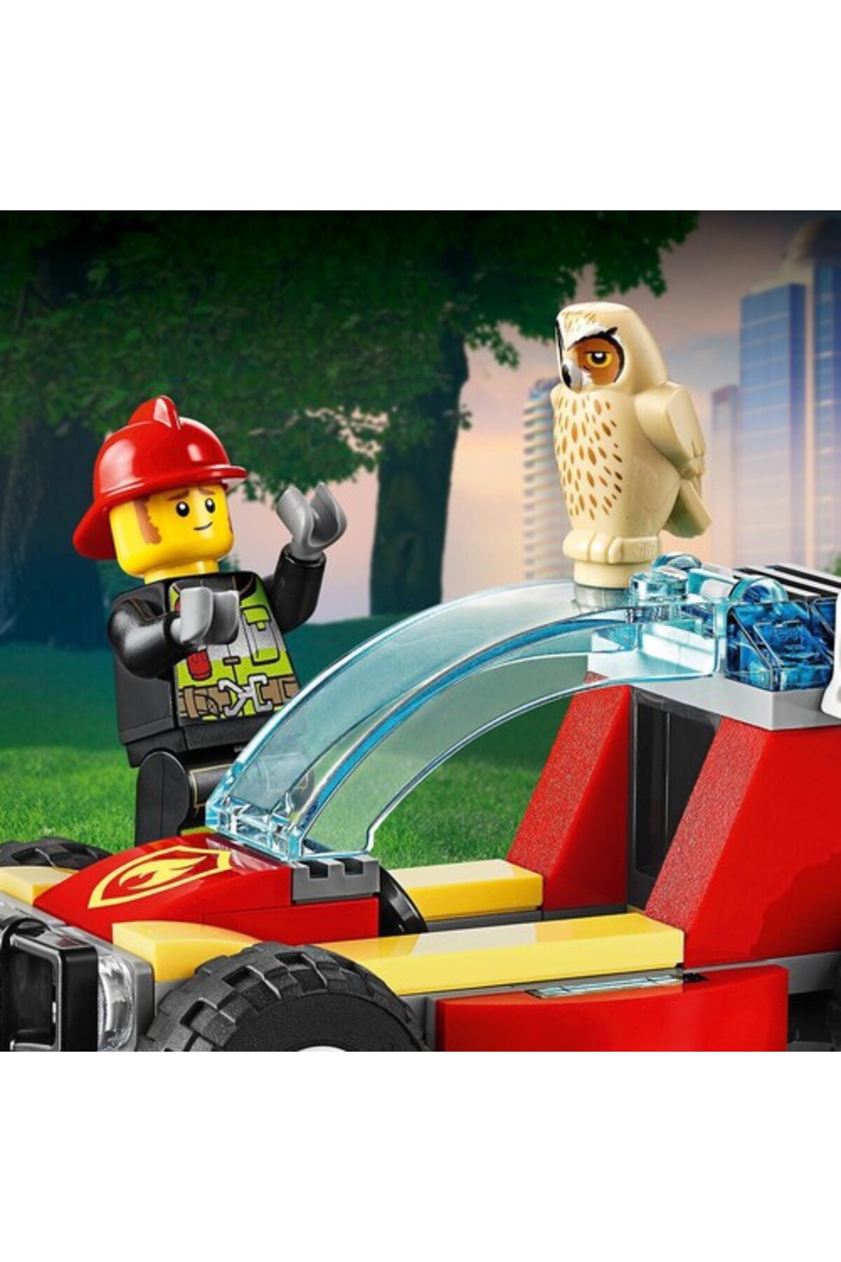 حریق جنگل شهری ۶۰۲۴۷