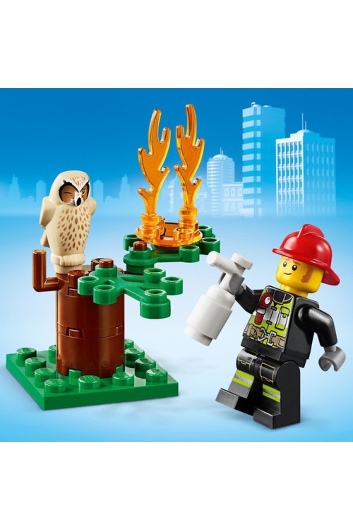 حریق جنگل شهری ۶۰۲۴۷