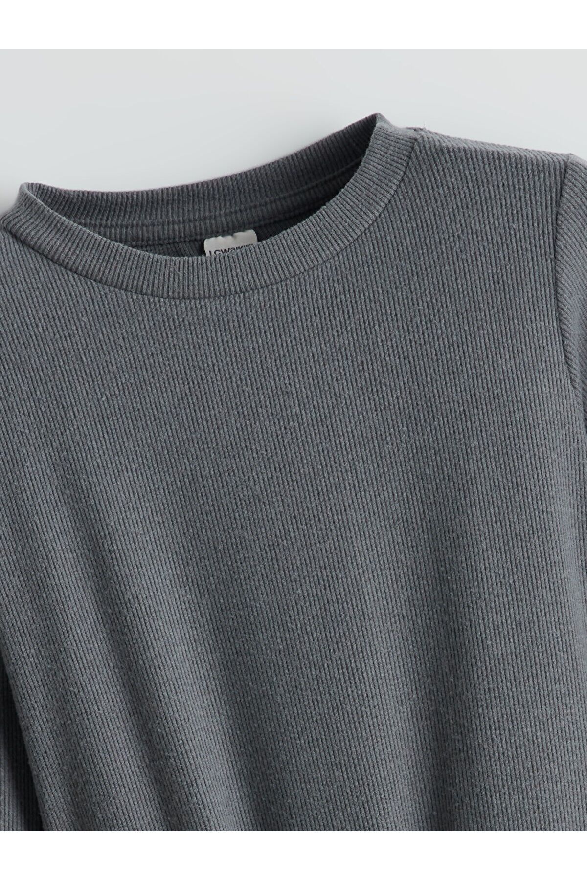 LC Waikiki-Crew Neck Girl's Dress 2