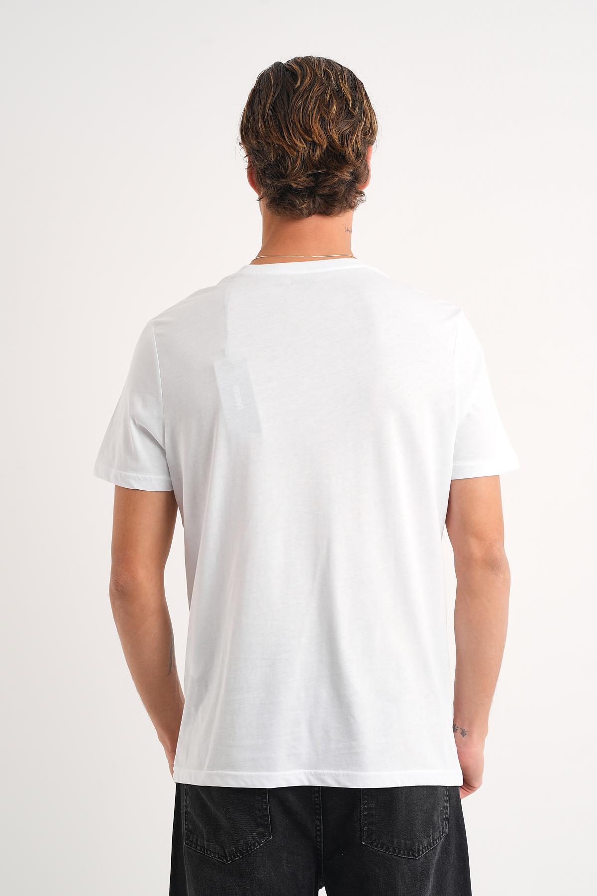 ALEXANDERGARDI Baskılı Basic T-shirt görsel 3