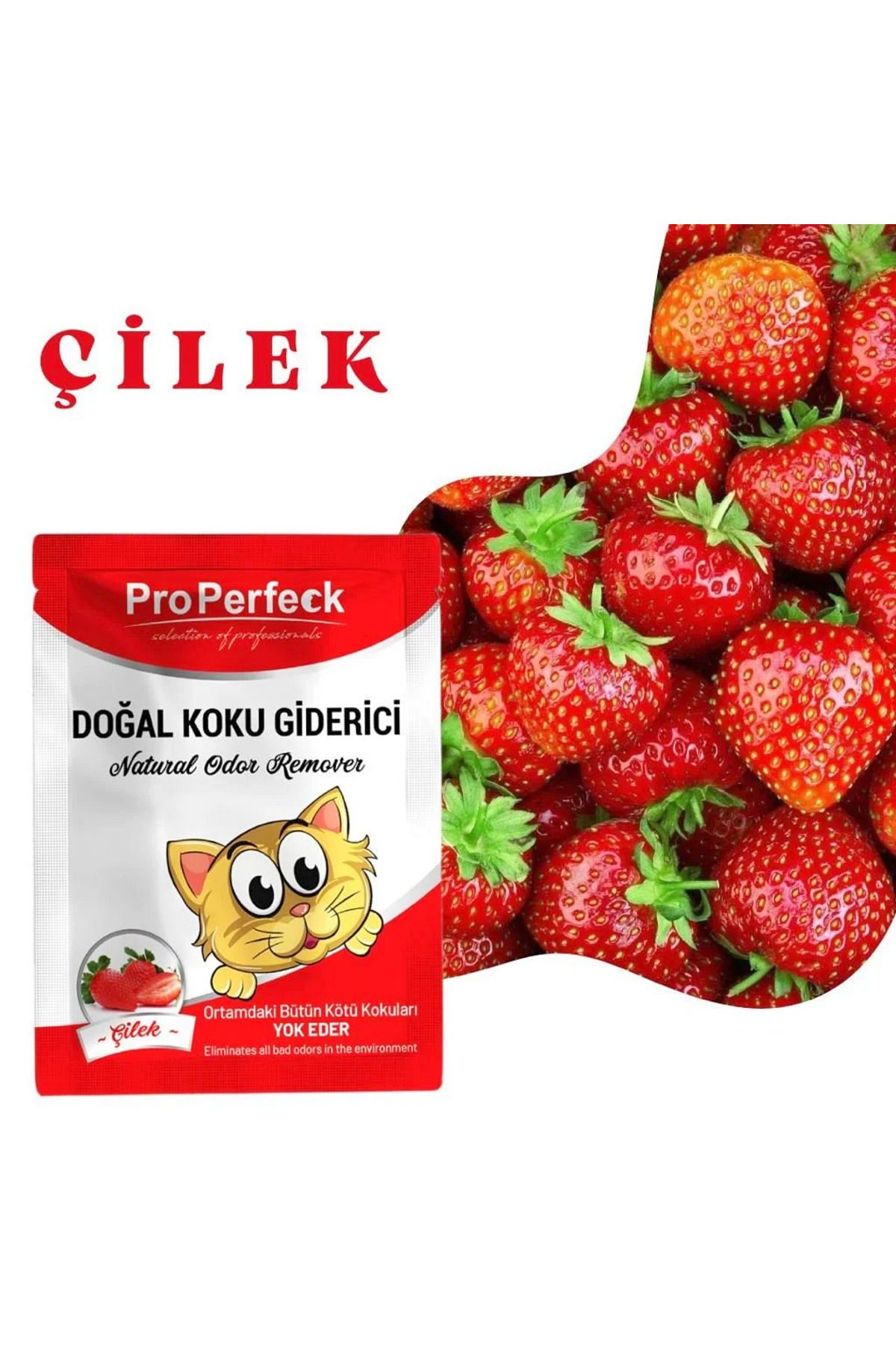 feifei Pro Perfeck Çilek Kokulu Koku Giderici 25 gr