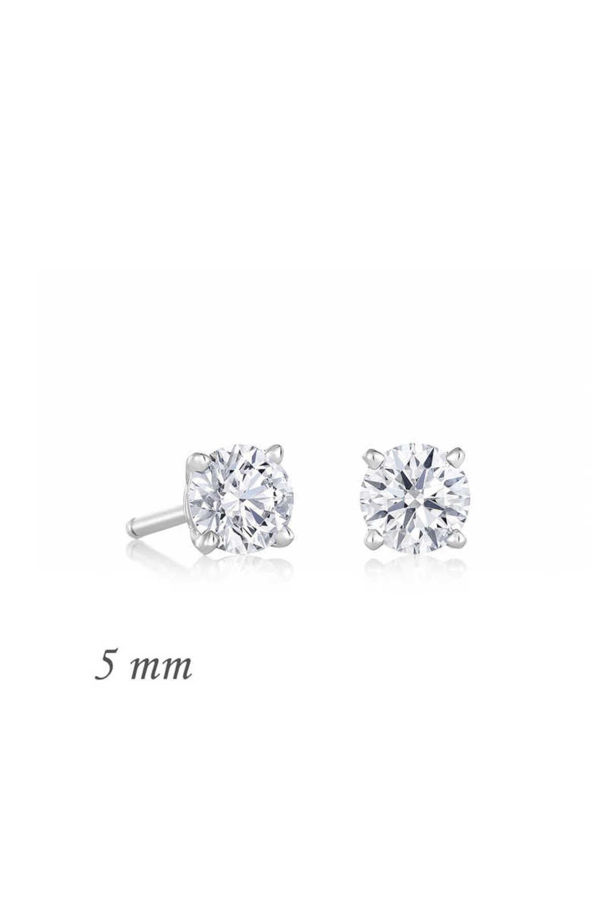 ROİSYA Gümüş Yuvarlak Tek Taş Zirkon Küpe - 5 mm